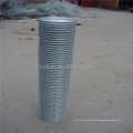 High Quality Low Price 10x10 Bird Cage Welded Wire Mesh